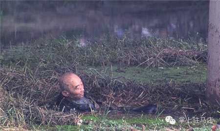 這位老人是誰？警方尋其家人？