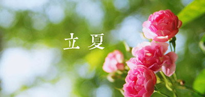 5月槐花香 立夏養生說“四防”