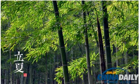立夏時節謹防疾病 中藥抑菌成關鍵