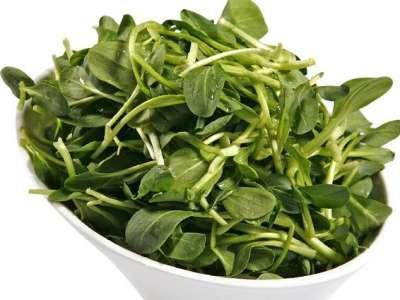 這些食物放冰箱會(huì)致癌 早知道早點(diǎn)預(yù)防癌癥來襲