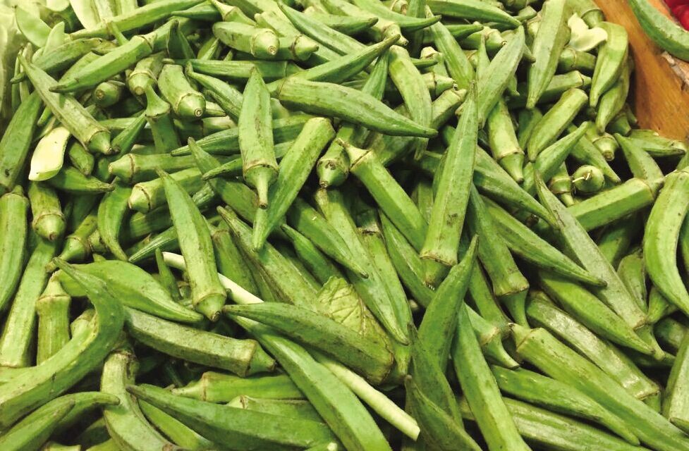 “綠色人參”黃秋葵“火”了