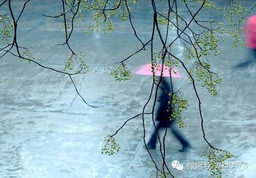 連日秋雨，警惕這些疾病乘虛而入！