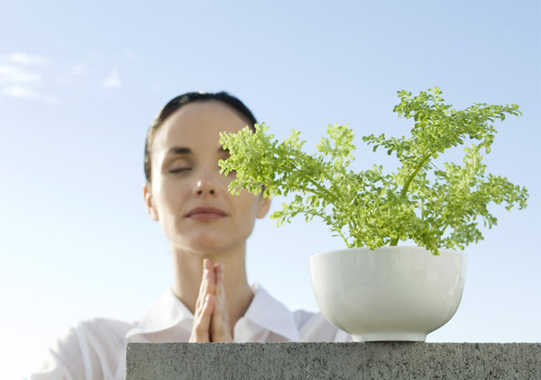 小暑時節話養生 教你安然度夏