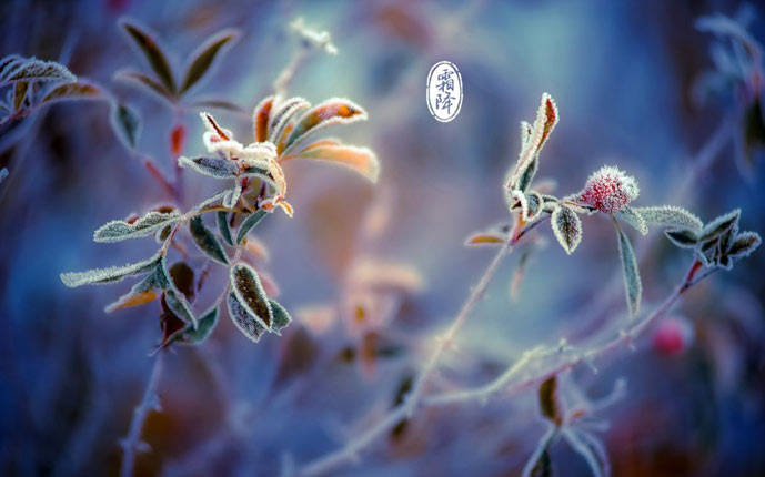 安度霜降 中醫提醒霜降應防5大疾病