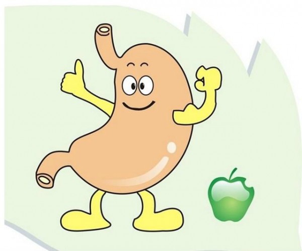 3點(diǎn)知道胃好不好 養(yǎng)胃來(lái)看科學(xué)“養(yǎng)胃時(shí)間表”