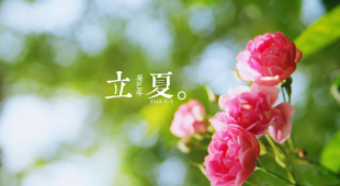 立夏過后該如何養(yǎng)生