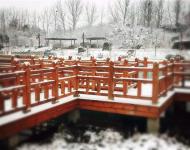 連已經(jīng)結(jié)冰的湖水邊、橋欄上，都留下了這個冬天最美的一幕！