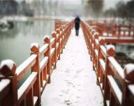 你能想得到嗎？這么美！你敢承認(rèn)這就是我們大駐馬嗎？最后，小編是希望這2016年的第一場雪不要走得太早！你呢？