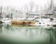 連已經(jīng)結(jié)冰的湖水邊、橋欄上，都留下了這個冬天最美的一幕！