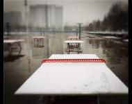 連已經(jīng)結(jié)冰的湖水邊、橋欄上，都留下了這個冬天最美的一幕！