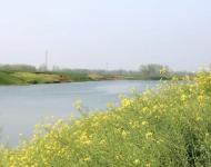 前些年因被河道環繞，地處偏僻，交通不便，外界少人知，如散落的明珠被遺忘在汝河故道里。