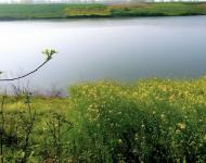當年寨墻高崇威武，寨溝水波蕩漾，寨內有前樓后樓，深宅大院，祠堂家廟，庭臺軒榭，小橋流水，景色宜人。