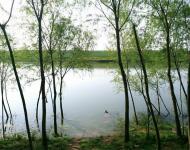 當時新河北岸的老劉寨和伍灣村屬于三橋公社劉寨大隊管轄，80年代中期河北岸的兩個村莊成立伍灣村委，老劉寨歸伍灣村委。