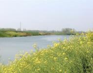 盛產白芝麻、油菜、花生、大豆等農物。 