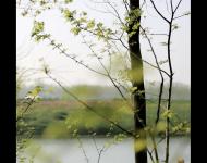 1970年代初期國家對汝河進行全面治理，對所有彎道全部裁彎取直，老劉寨被新河道一分為二，河北岸叫老劉寨，河南岸叫劉寨，中間修建了一條半河交通橋。