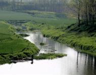 寨外有桃園、梨園、杏園、紫樹林、楸樹林，柏樹林，園中百花競放，林上百鳥和鳴。