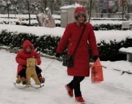 五月的鮮花開得燦爛，母親的容顏格外慈祥；五月的陽光溫暖明媚，不及母愛光芒萬丈；五月的藍天純凈無暇，母親的胸懷比天地寬廣。五月的微風溫柔似水，母親就是那水源的發祥。母親節到來了，愿您快樂安康。圖：母愛 李增辰攝