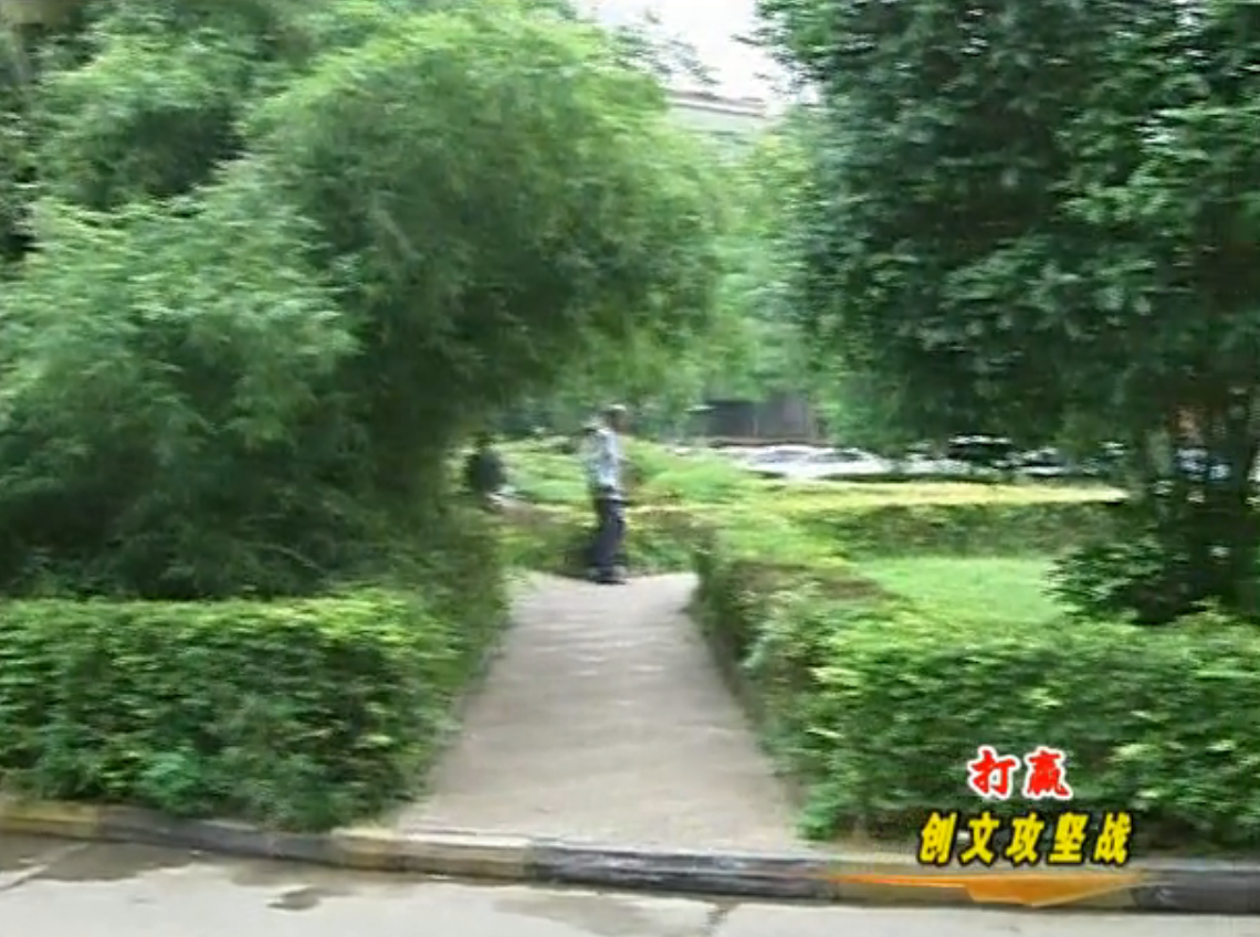 張昕到驛城區督導創文工作