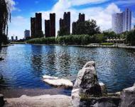 請用一切美好的詞語來形容Ta