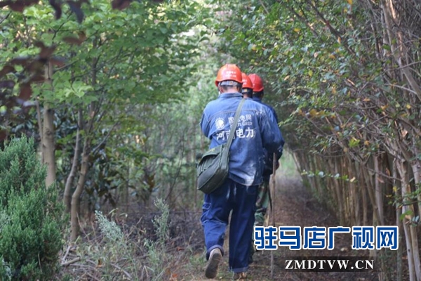 泌陽縣邀請媒體走進電網看供電保障