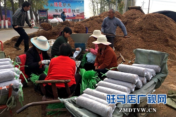 泌陽：冬閑變冬忙 農民種菇忙
