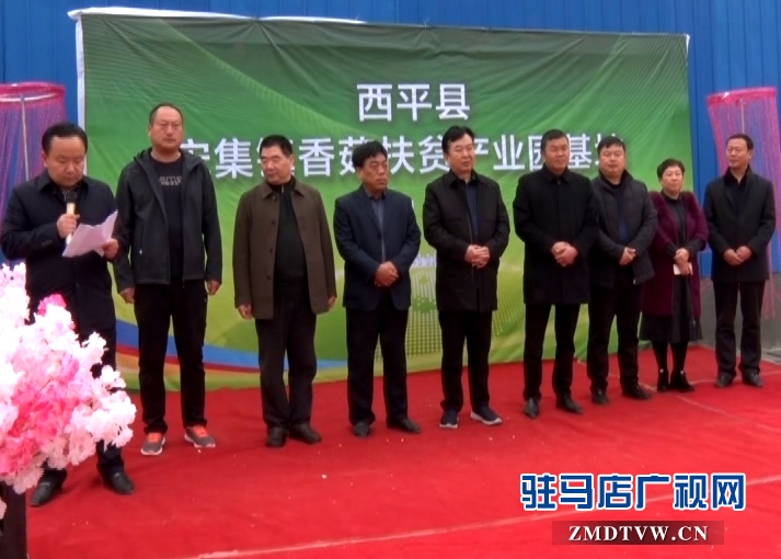 西平：以香菇扶貧發展特色產業