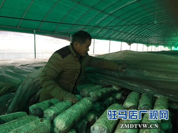 泌陽縣高邑鄉實行黨員+基地幫帶貧困戶