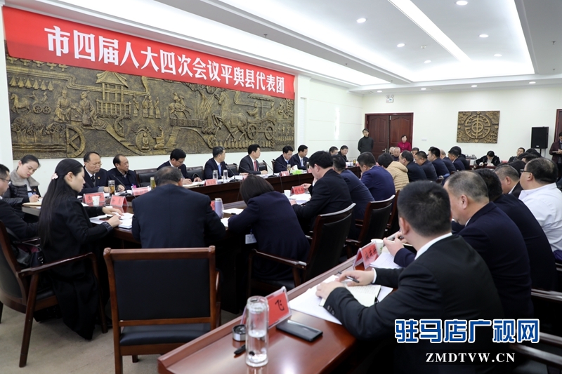 朱是西參加平輿代表團的審議政府工作報告，聆聽代表發(fā)言。