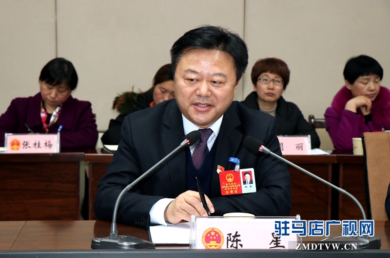 陳星參加上蔡代表團的審議政府工作報告時發(fā)言。