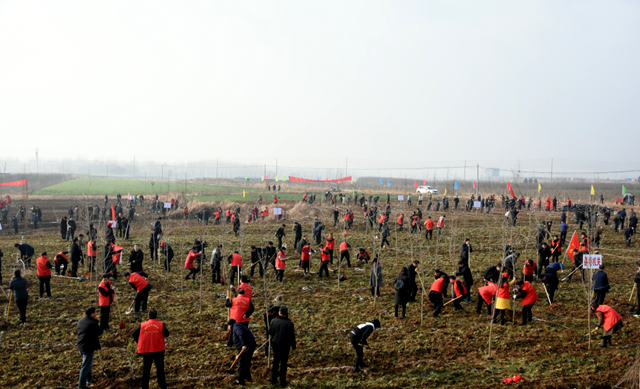 泌陽縣2019年春季義務植樹活動啟動