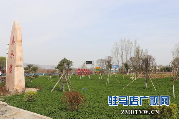 泌陽縣春水鎮強力推進綠化工作