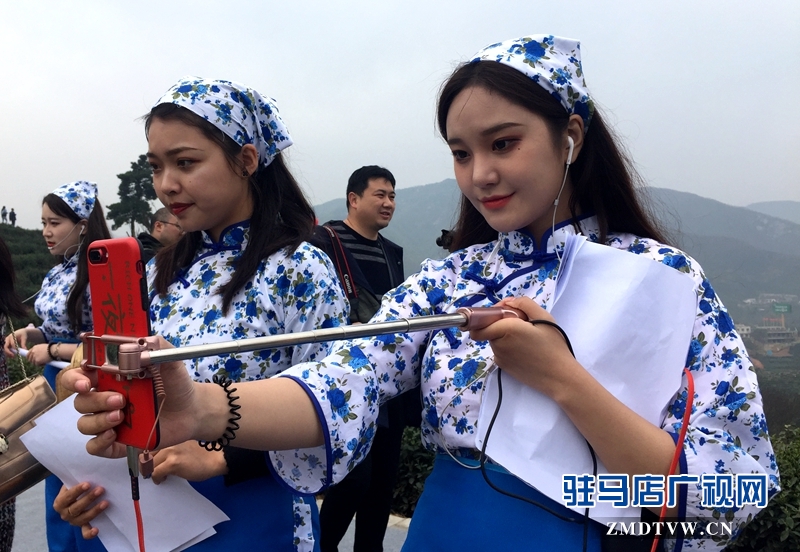 采茶間隙也做起了網紅直播