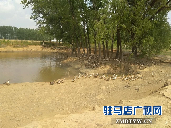 霍國啟：生態農場里的“嘮叨”漢子 