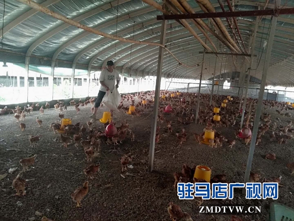 霍國啟：生態農場里的“嘮叨”漢子 