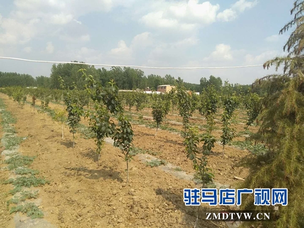 霍國啟：生態農場里的“嘮叨”漢子 