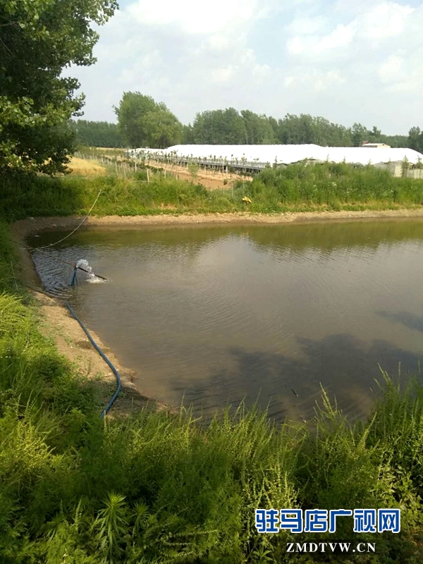 霍國啟：生態農場里的“嘮叨”漢子 