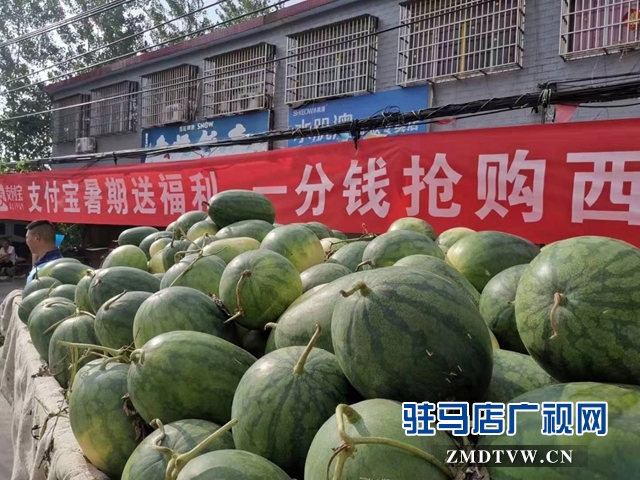 支付寶一分錢搶西瓜 村民樂的笑開了花