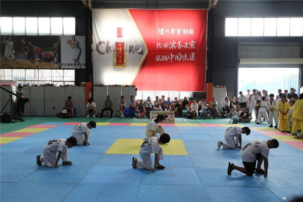 駐馬店易軒財務管理有限公司助力2019中原杯跆拳道冠軍挑戰賽圓滿舉行