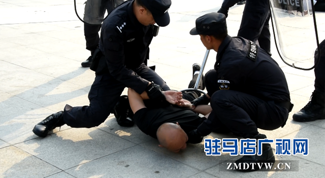 平輿縣舉行新中國成立70周年大慶安保維穩誓師大會