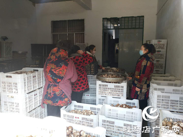 泌陽縣高邑鎮查處兩起違反政府禁令私自開業商戶