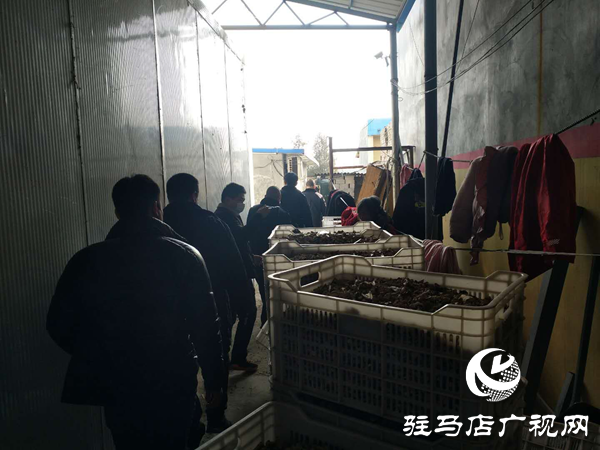 泌陽縣高邑鎮查處兩起違反政府禁令私自開業商戶