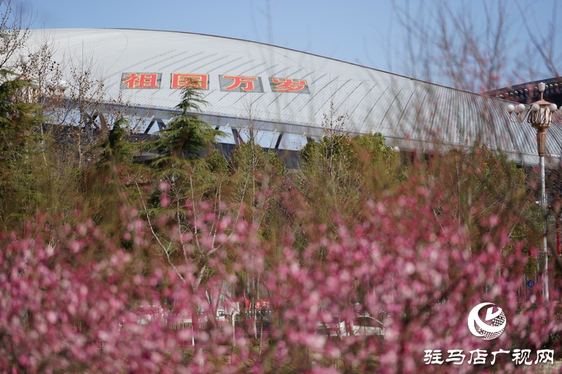 戰疫，熱火朝天