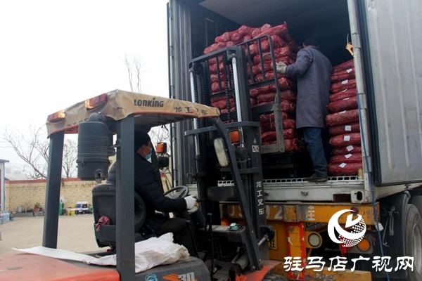 泌陽縣楊家集鎮菇農家門口掙外匯