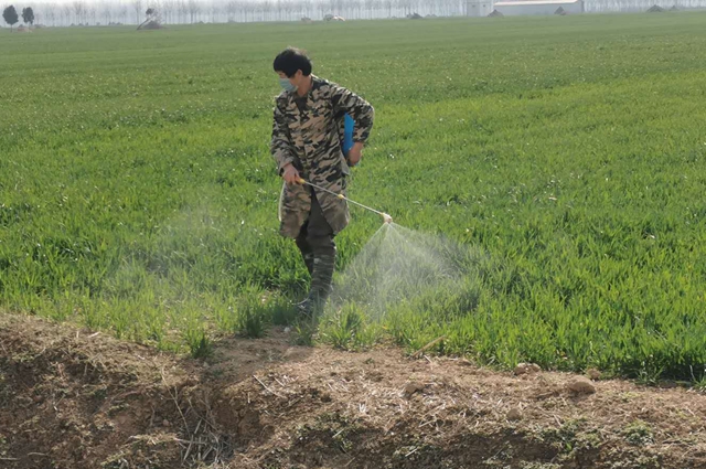 汝南縣板店鄉(xiāng)：疫情防控 農業(yè)生產(chǎn)兩不誤