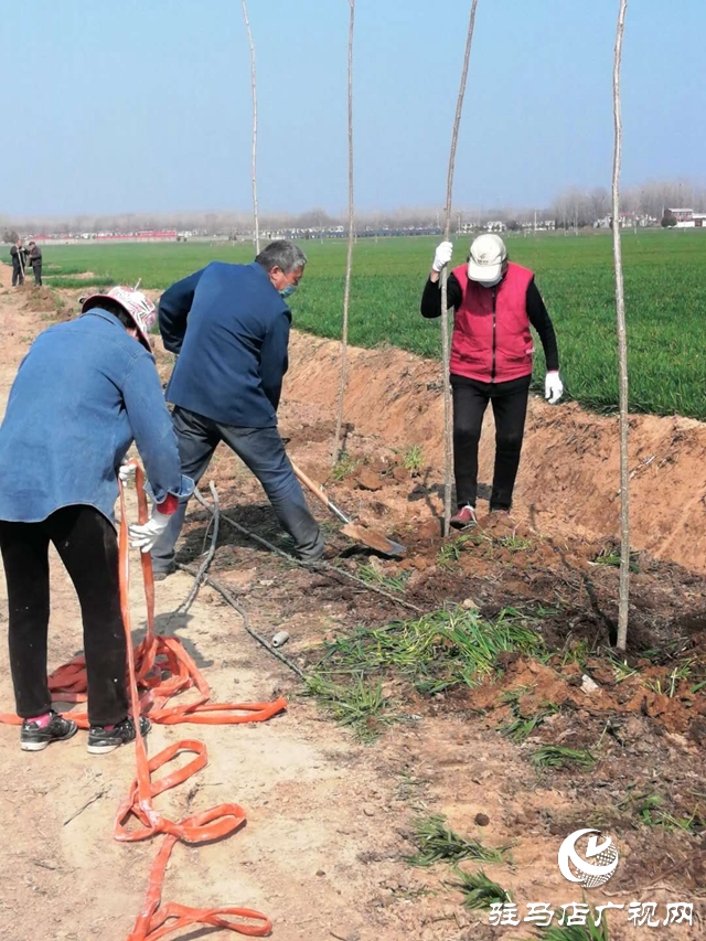 汝南縣板店鄉：疫情防控 農業生產兩不誤