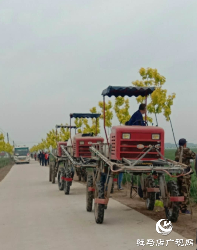 彭志合：群眾麥田我來管 大家居家渡難關