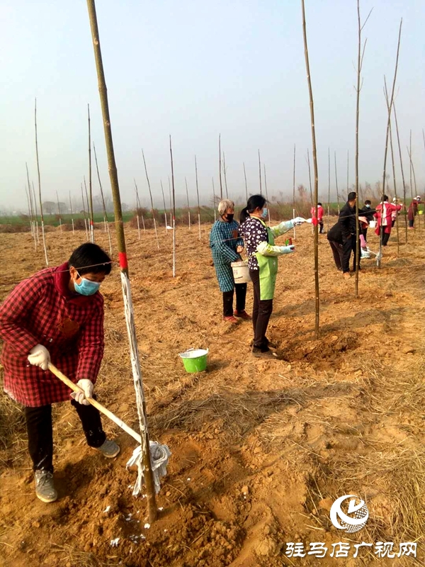 汝南縣古塔街道努力打造別具一格的林網格