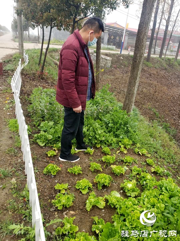 汝南縣老君廟鎮多舉措加強春季禁種鏟毒 