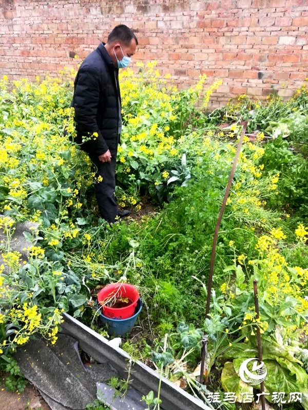 汝南縣老君廟鎮多舉措加強春季禁種鏟毒 