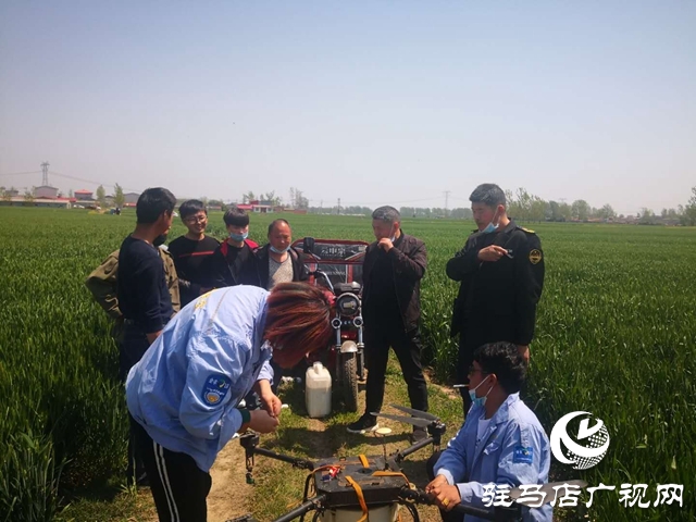  汝南縣老君廟鎮多舉措做好小麥重大病蟲害統防統治工作